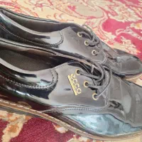 یک جفت کفش نو شماره کفش ۴۱