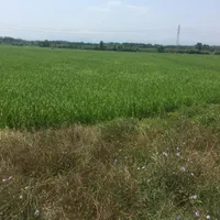 فروش زمین ۵۲۰۰ متری