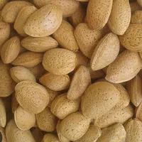 بادام سنگی
