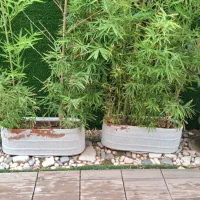 سه خوابه سالن بزرگ_تک واحدی_تراس قابل چیدمان