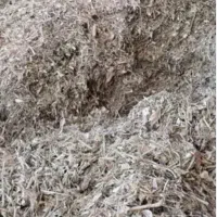 کاه لوبیا چیتی