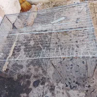 توری کفتر ومرغ. . فقط تماس|لوازم جانبی حیوانات|تربت جام, خیرآباد|دیوار