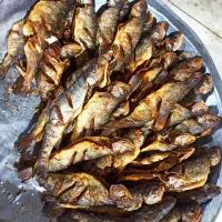 اشپز-- شرکتی کارگاه  ترجیها آشپز آقا