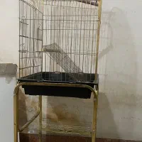 قفس بزرگ وطلایی طوطی وپرنده باچهارپایه چرخدارسالم