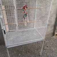 قفس پرنده