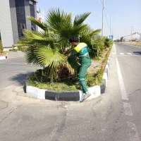 کارگر فضای سبز