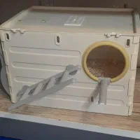 لانه عروس هلندی .طوطی برزیلی