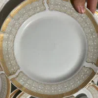 سرویس چینی حمید تک شده
