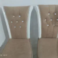 صندلی ۶ عدد