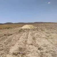 کاه گندم دیم