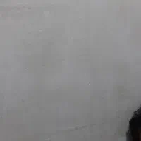 قاب آرپاد گم شده