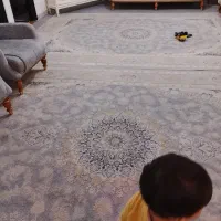 مبل راحتی وفرش برجسته|فرش|محمدشهر, محمدشهر|دیوار