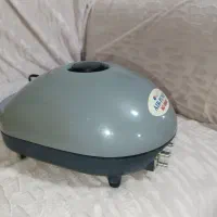 پمپ اکواریوم|ماهی|همدان, |دیوار