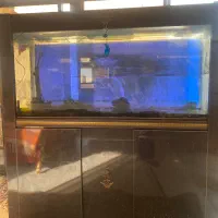 اکواریوم بسیار شیک و بزرگ