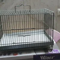 پنکه زودپز صندلی|پنکه و تصفیه‌کنندهٔ هوا|قم, خاکفرج|دیوار