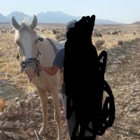 اسب‌ مادیان فروشی