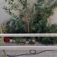 رهن و اجاره خانه ویلایی