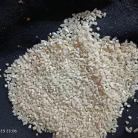 برنج دانه بلند