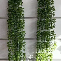 آویز شمشاد ۱۶شاخه