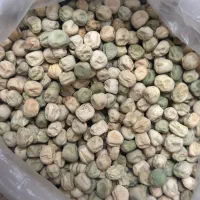 بذر نخود فرنگی وولف|خدمات باغبانی و درختکاری|گرگان, |دیوار