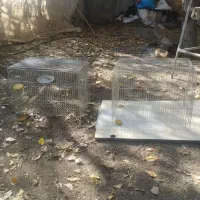 قفس|لوازم جانبی حیوانات|اردبیل, |دیوار