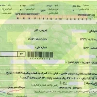 گمشده برگه سبز