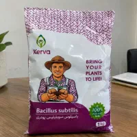 کود بیولوژیک.. باسیلوس کمک ب سلامت ریشه و رشد بهتر