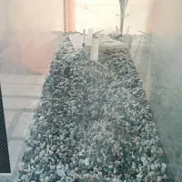 آکواریوم بزرگ|لوازم جانبی حیوانات|دوگنبدان, |دیوار