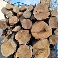 هرس قطع  انواع درختان با اره برقی ،علفزنی،سمپاشی|خدمات باغبانی و درختکاری|کرمانشاه, |دیوار