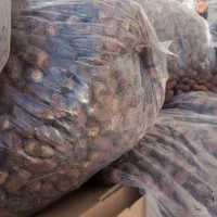 خرما ارزان|خوردنی و آشامیدنی|مهریز, |دیوار