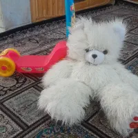 خرس و اسکوتر