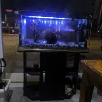 اکواریوم 80سانتی