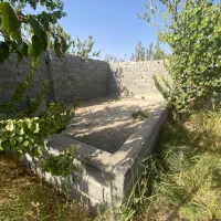 ۲۲۰ متر چهار دیوار با درخت ۱۰ ساله