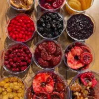 ترشک و لواشک عمده