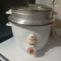 پلوپز و ارام پز برقی