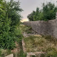 باغ-با-درختان-2-ساله-دور-دیوار