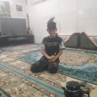 عروسی هلندی|پرنده|قم, چهل درخت‎|دیوار