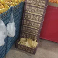 همکار در تربار