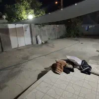 خونه ویلایی بزرگ و دلباز جهت اجاره منطقه زیرتل