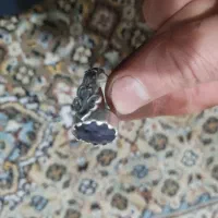 انگشتر نقره