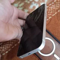 آیفون ۱۳نورمال|موبایل|زاهدان, |دیوار
