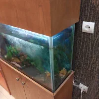 آکواریوم و لوازم به همراه ماهی
