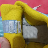 کتانی|کیف، کفش، کمربند|مشکیندشت, |دیوار