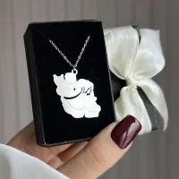 گردنبند ایران اسپرت استیل