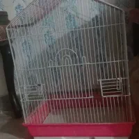 قفس مدل دار و بازاری بزرگ