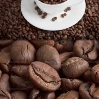 قهوه عربیکا روبستا فروش عمده و جزیی