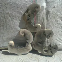 انواع کالباسی وچوب وجوش برای کارهای هنری ورزین|صنایع دستی و سایر لوازم تزئینی|کرمان, |دیوار