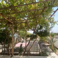 خانه-باغ