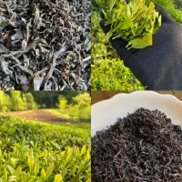 چای محلی ارگانیک