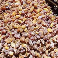 باسلام کشمش بواناتی سایه خشک درجه یک بدون هسته|خوردنی و آشامیدنی|آباده, |دیوار
